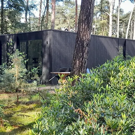 Black Box Ferienhaus Lille